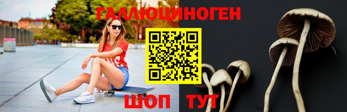 Псилоцибиновые грибы MAGIC MUSHROOMS  Псилоцибиновые грибы Psilocybe  Вход с VPN  Симферополь 